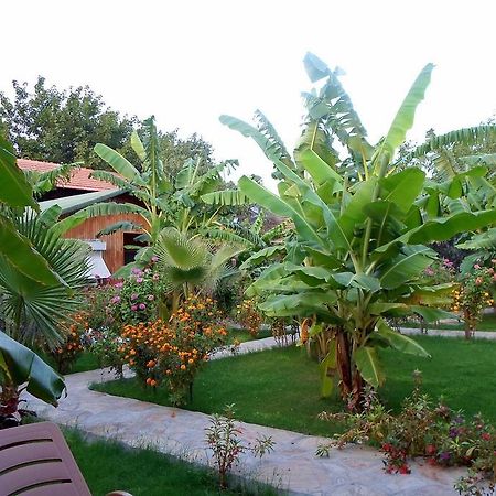Estelar Bungalow Çıralı Dış mekan fotoğraf