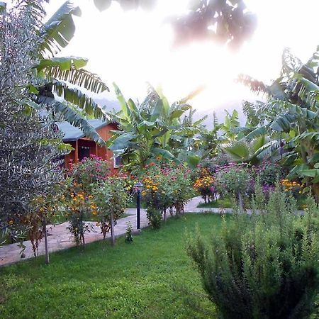 Estelar Bungalow Çıralı Dış mekan fotoğraf