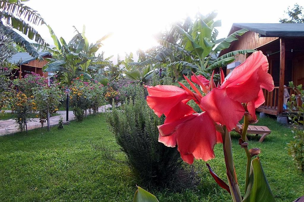 Estelar Bungalow Çıralı Dış mekan fotoğraf