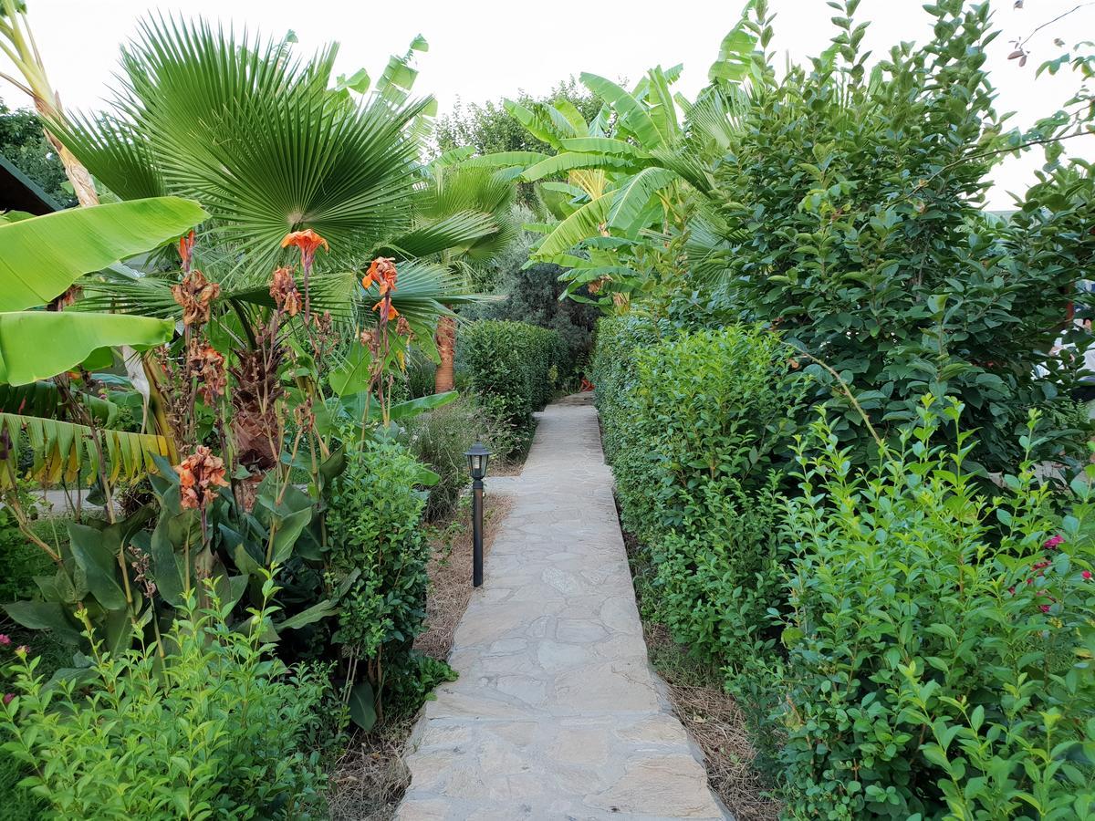 Estelar Bungalow Çıralı Dış mekan fotoğraf