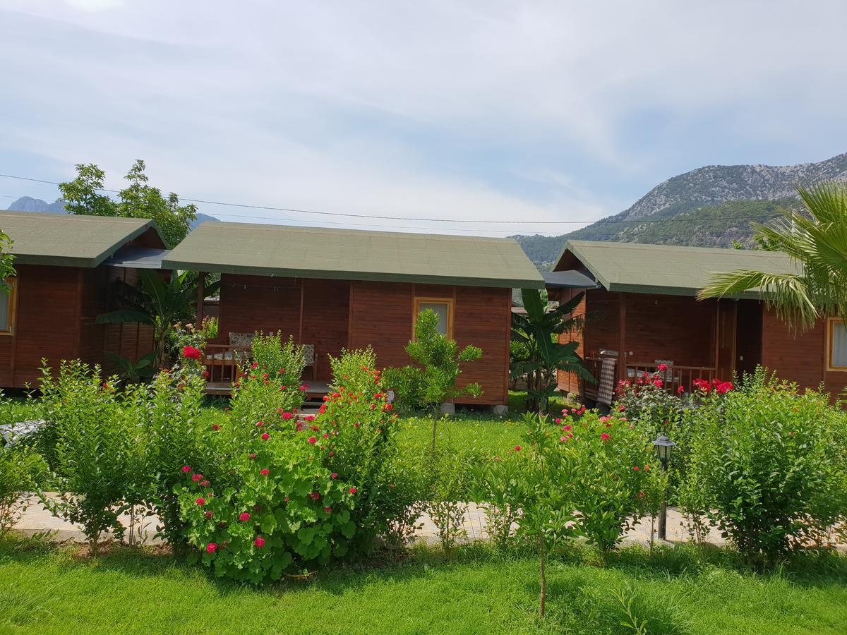 Estelar Bungalow Çıralı Dış mekan fotoğraf