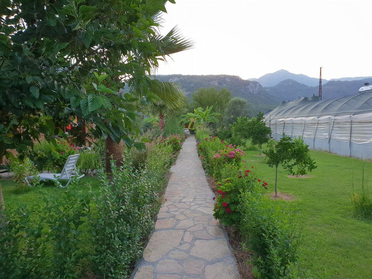 Estelar Bungalow Çıralı Dış mekan fotoğraf